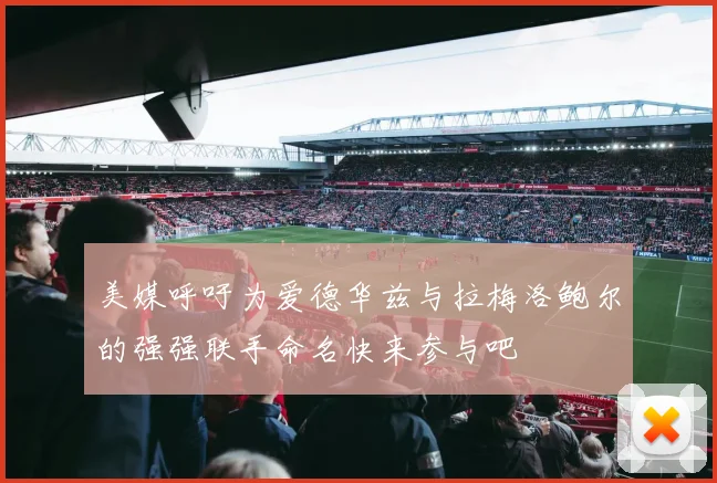 美媒呼吁为爱德华兹与拉梅洛鲍尔的强强联手命名快来参与吧